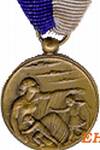 Air Defence Service Medal